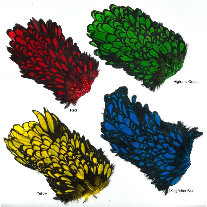 American Hen Saddle Black Laced fra Whiting