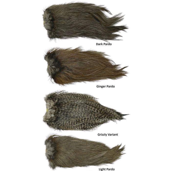Coq De Leon Bronze Saddle fra Whiting