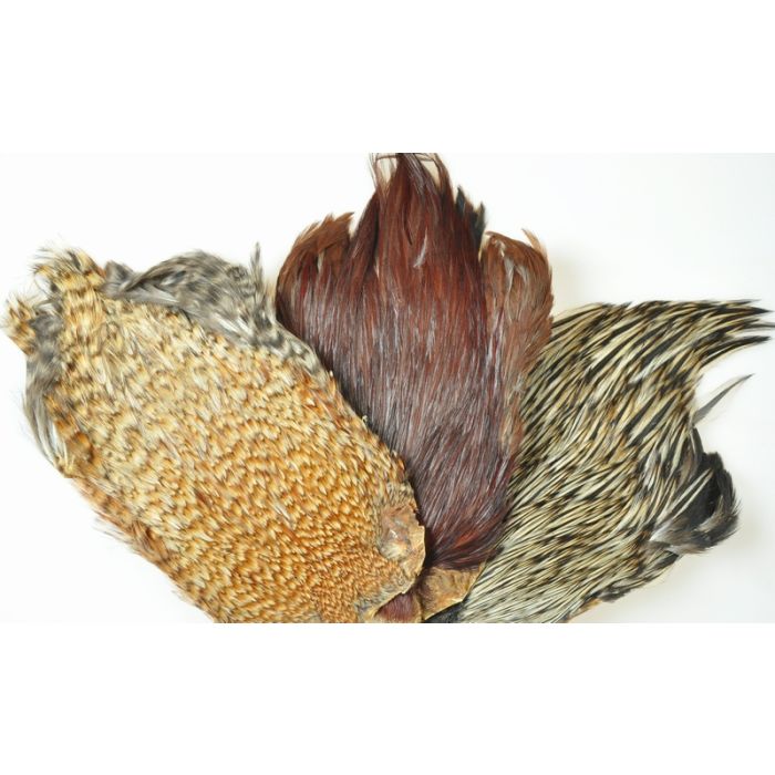 Indian Cock Cape fra Veniard