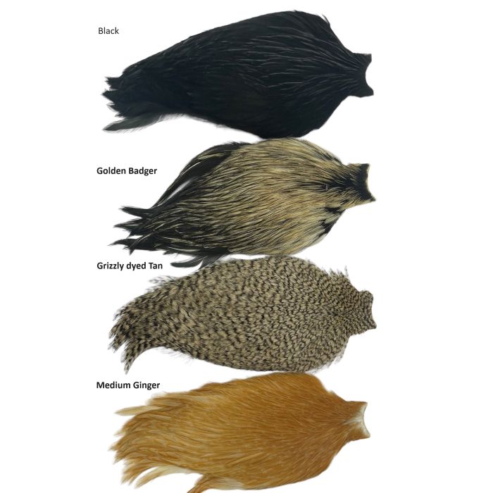 American Rooster Cape fra Whiting